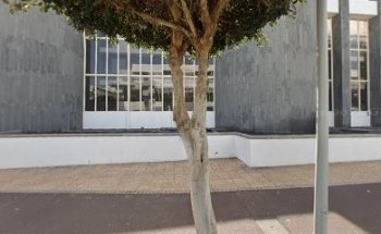 Telebanco